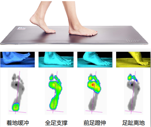 直樂Footscan V9 足底壓力測試分析系統