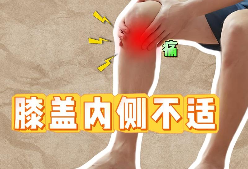 膝蓋內側疼